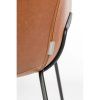feston brown3