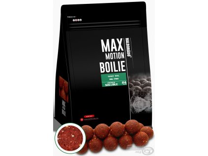 MAX MOTION Boilie Premium Soluble 24 mm - Big Fish
