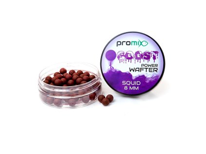 Promix Goost Power Wafter|Varianta: SQUID 8mm