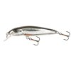Salmo Minnow 7 cm F, S