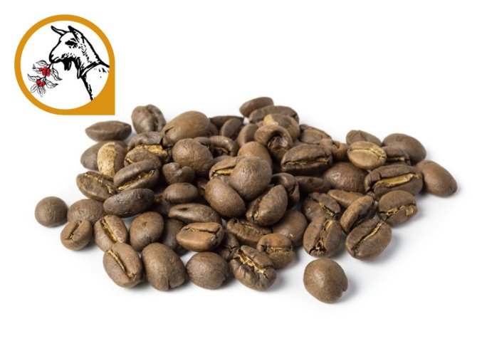 GUATEMALA obr BLUE AYARZA 2026