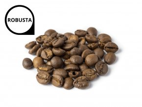 Robusta 2022