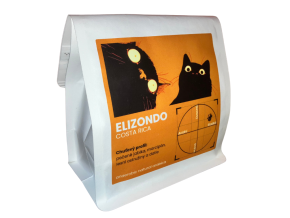 ELIZONDO