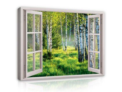 Obraz na plátně: 3D Effect Window View Birch Forest - 100x75 cm