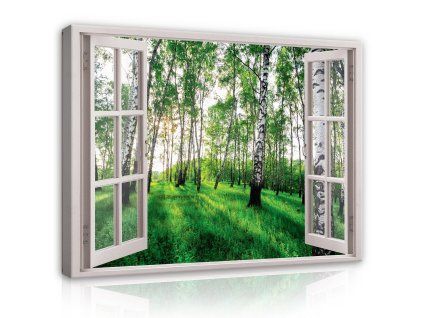 Obraz na plátně: 3D Effect Window Birch Forest View - 80x60 cm