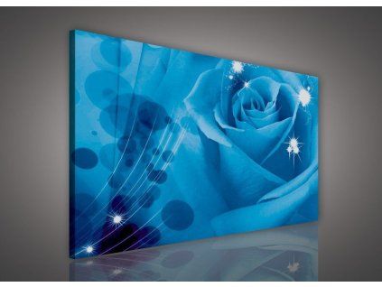 Obraz na plátně: Modrá růže (1) - 75x100 cm