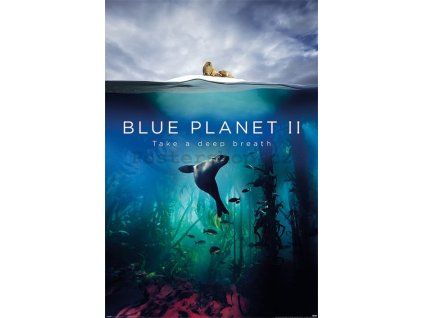 48959 plakat blue planet 2 take a deep breath
