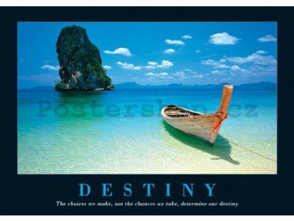 12344 plakat destiny 1