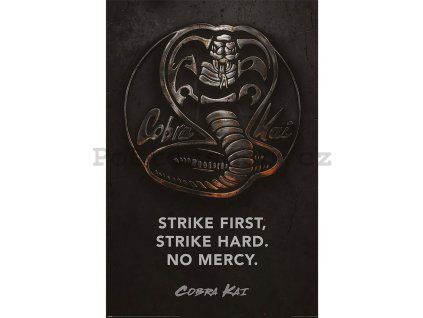 66652 plakat cobra kai metal
