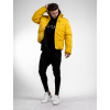 Winter Jacket Panel - yellow (Size L)