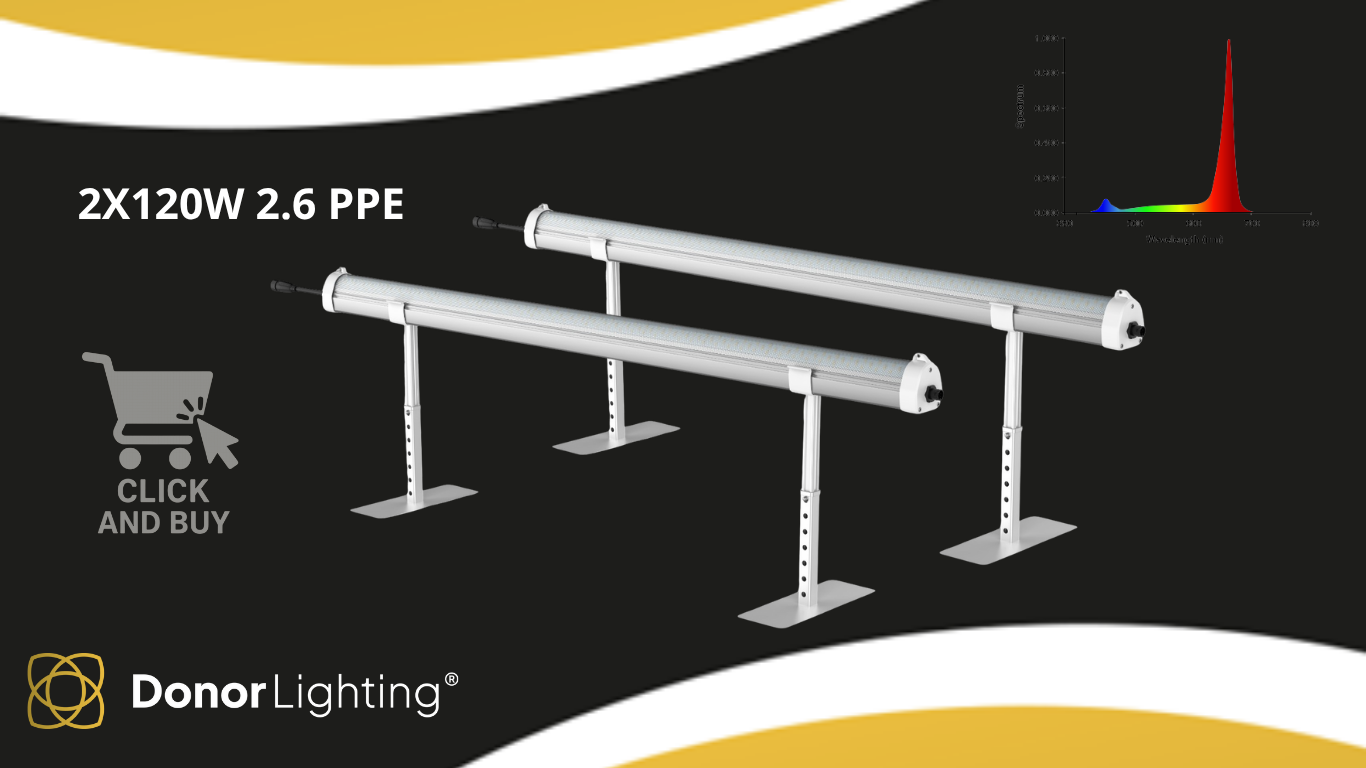 Undercanopy 2x120W 2.6