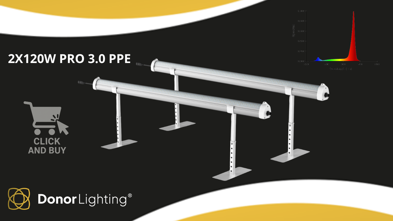 Undercanopy 2x120W PRO 3.0