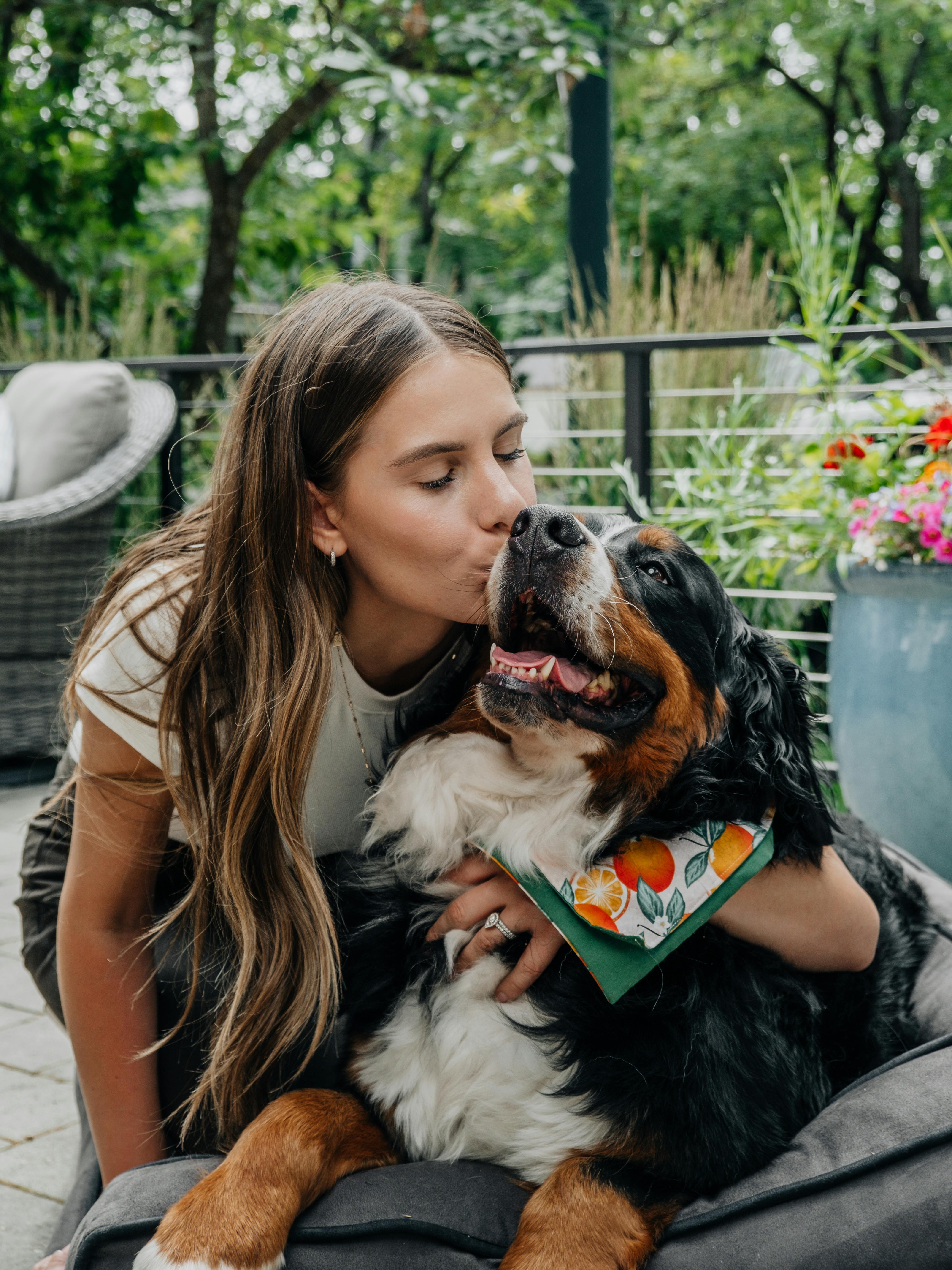 pexels-impact-dog-crates-1789722873-28948918