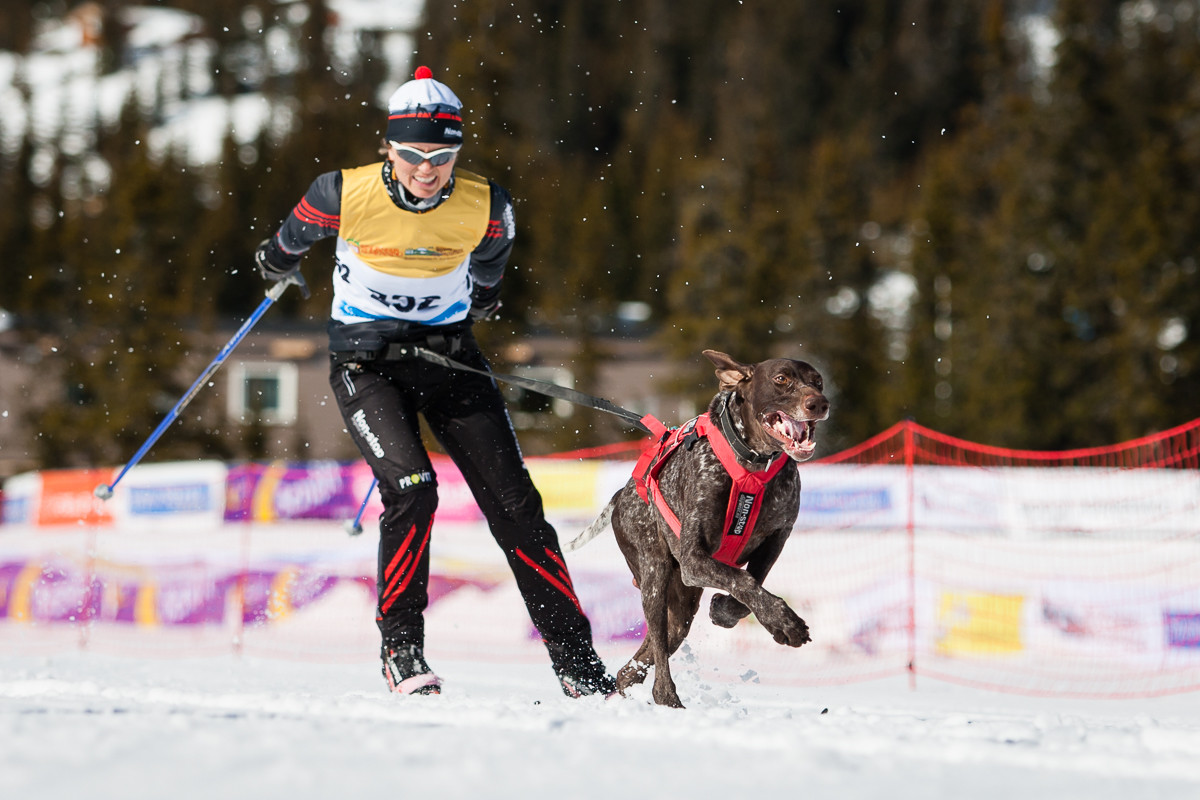 skijoring-na-bezky-se-psem-non-stop-dogwear-01