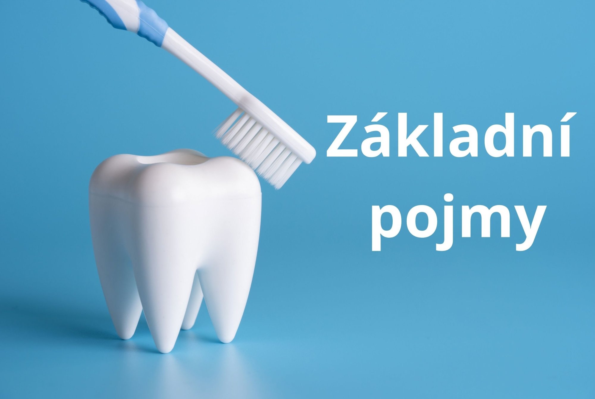 Základní pojmy v dentální medicíně: Kompletní průvodce pro odborníky i laickou veřejnost