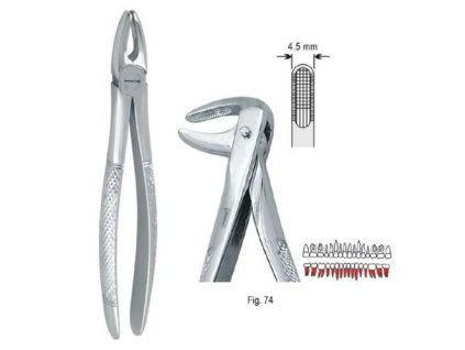 Screenshot 2026 01 17 at 11 01 28 Extracting forceps European pattern fig. 74 Falcon Medical