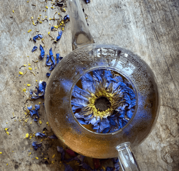 Blue lotus Egyptský nebo-li Modrý Leknín