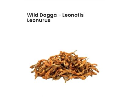 WhatsApp Image 2024 11 13 at 11.49.50 (2)