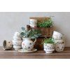 Obal na květiny Fleurville krémový Chic Antique