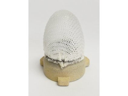 Žhavicí těleso NG