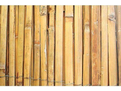 3ae3206d42a721db03d01133d044c224