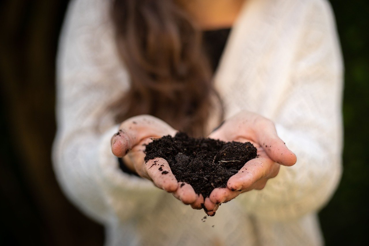 Ekologický podzim: 5 jednoduchých kroků, jak snížit množství odpadu kolem domu
