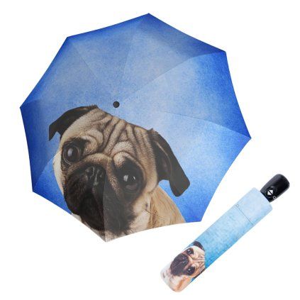 Modern Art Magic Lazy Dog  Doppler
