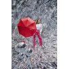 744863DRO CarbonSteelMagic red 2