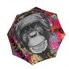 Modern Art Magic Monkey  Doppler