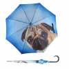 Modern Art Lazy Dog  Doppler