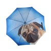 Modern Art Lazy Dog  Doppler