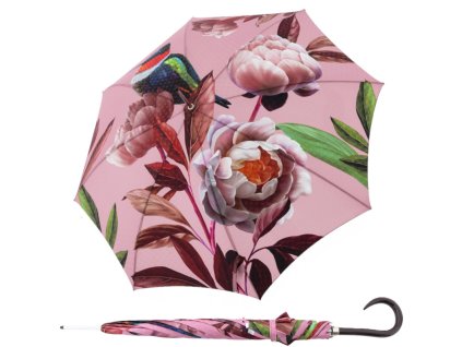 6617 elegance boheme splendid