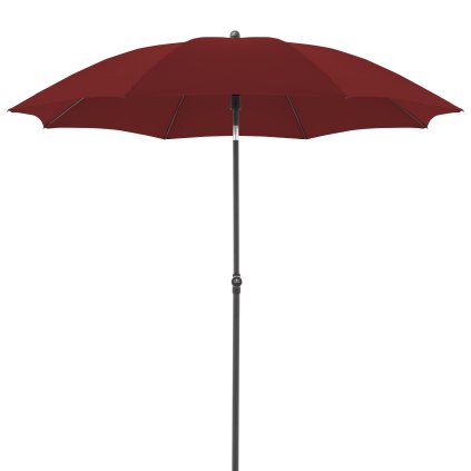 12170 1 active bordo