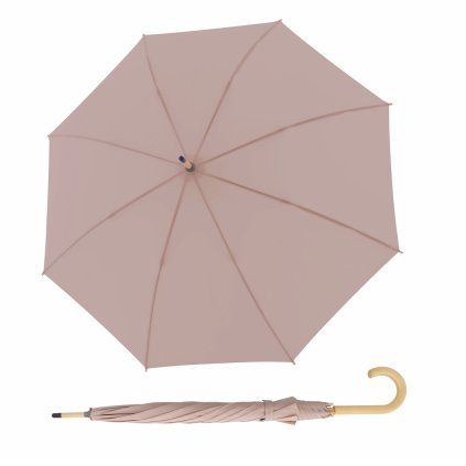 5465 2 nature long gentle rose