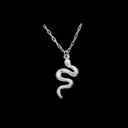 Drobný ocelový přívěsek Silver Snake | DG Šperky  + Doprava zdarma + Dárkové balení zdarma