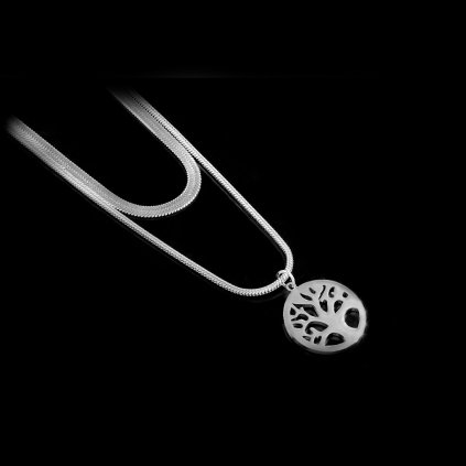 Dámský ocelový dvojitý náhrdelník s přívěskem | DG Šperky  + Doprava zdarma + Dárkové balení zdarma