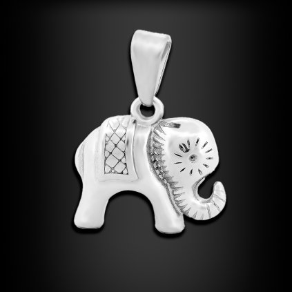 Ocelový přívěsek Slon pro Štěstí 🐘 DG Šperky  + Řetízek zdarma + Doprava zdarma + Dárkové balení zdarma
