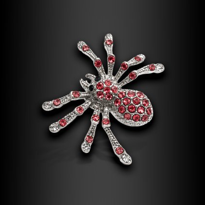 Spidera – dámská brož s pavoukem (1)