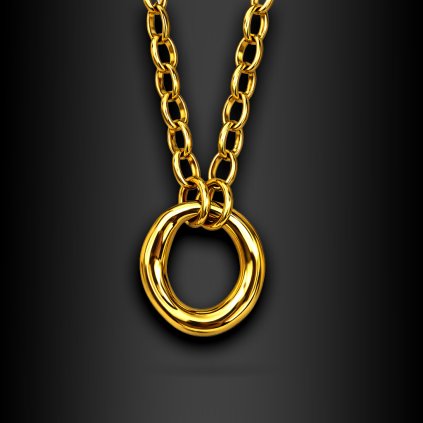 Dámský výrazný náhrdelník Lunaria s kruhovým přívěskem ♀️ DG Šperky