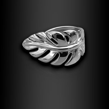 Dámský výrazný otevřený prsten Celestia (1)