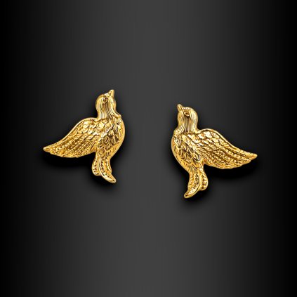 Dámské ocelové náušnice pecky Cataleya (1)