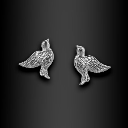 Dámské ocelové náušnice pecky Cataleya (3)