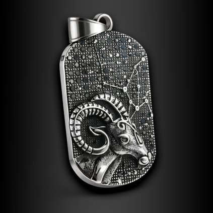 Pánský ocelový přívěsek Ravorn (1)