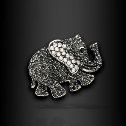 Dámská brož Silvarey (1)