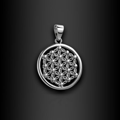 Dámský stříbrný kruhový přívěsek Melarisa Ag 9251000 (1)