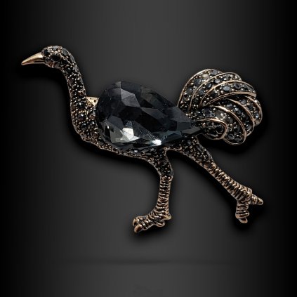 Dámská brož Lustrea (4)