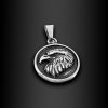 Přívěsek orlice v kruhu - Chirurgická ocel  + Řetízek zdarma + Doprava zdarma + Dárkové balení zdarma