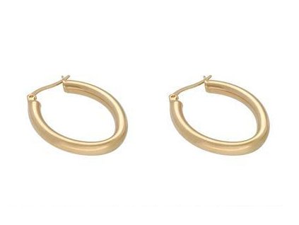 Náušnice kruhy zlaté z chirurgické oceli J151