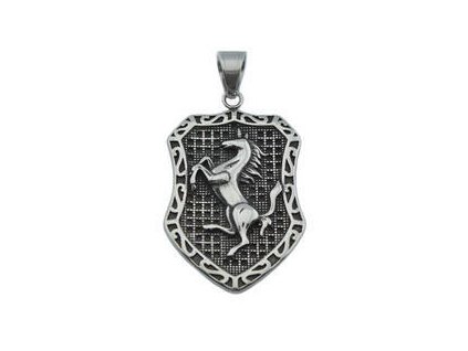 Přívěsek z oceli stříbrný medailon s koněm F360