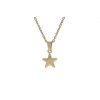 Řetízek z oceli HVĚZDIČKA zlatá I274